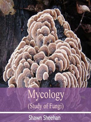 mycology study guide Study flashcards on mycology exam 1-extended study guide at cramcom quickly memorize the terms, phrases and much more cramcom makes it easy to get the grade you want. mycology study guide Study flashcards on mycology exam 1-extended study guide at cramcom quickly memorize the terms, phrases and much more cramcom makes it easy to get the grade you want.